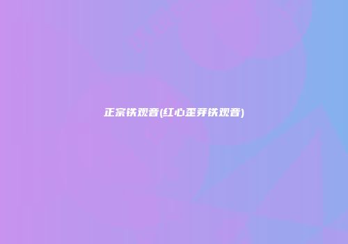 正宗铁观音(红心歪芽铁观音)