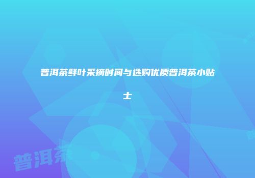 普洱茶鲜叶采摘时间与选购优质普洱茶小贴士