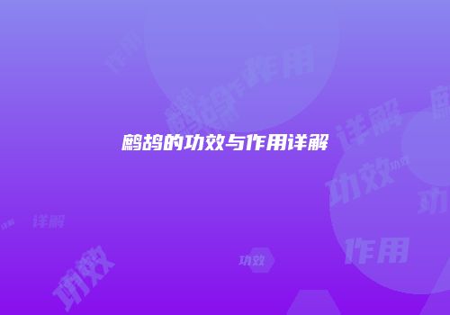 鹧鸪的功效与作用详解