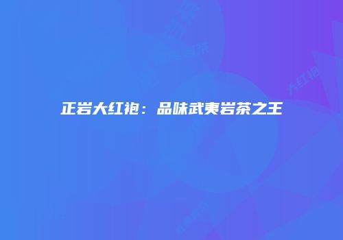 正岩大红袍：品味武夷岩茶之王