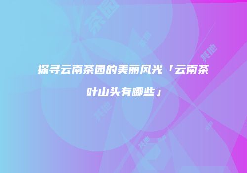 探寻云南茶园的美丽风光「云南茶叶山头有哪些」