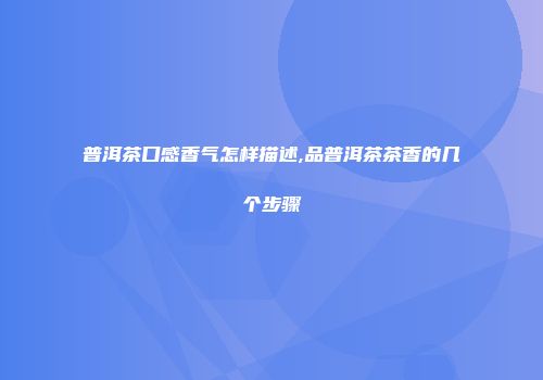 普洱茶口感香气怎样描述,品普洱茶茶香的几个步骤