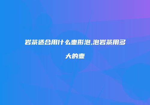 岩茶适合用什么壶形泡,泡岩茶用多大的壶