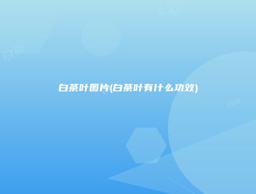 白茶叶图片(白茶叶有什么功效)
