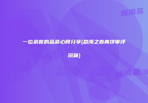 一位茶客的品茶心得分享(勐海之春青饼审评滋味)