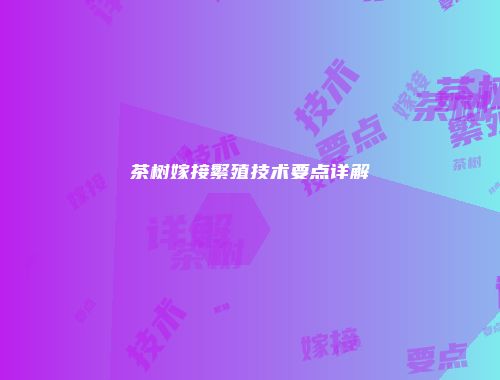 茶树嫁接繁殖技术要点详解
