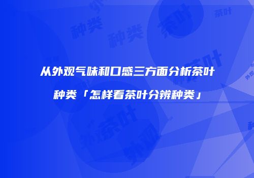 从外观气味和口感三方面分析茶叶种类「怎样看茶叶分辨种类」