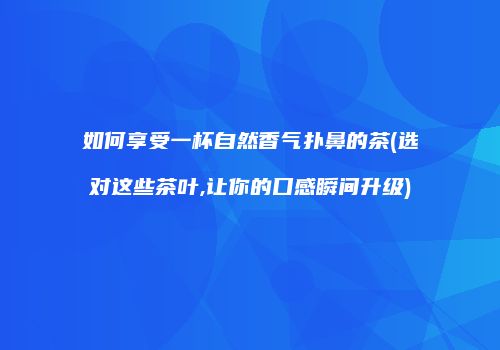 如何享受一杯自然香气扑鼻的茶(选对这些茶叶,让你的口感瞬间升级)