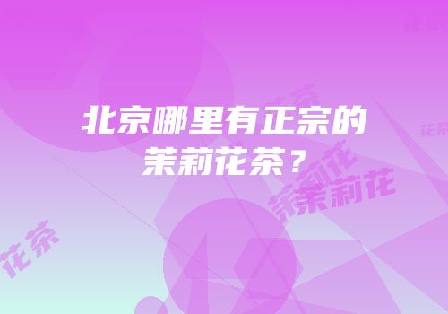 北京哪里有正宗的茉莉花茶？