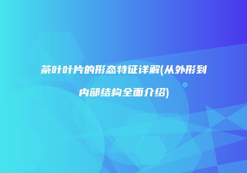 茶叶叶片的形态特征详解(从外形到内部结构全面介绍)
