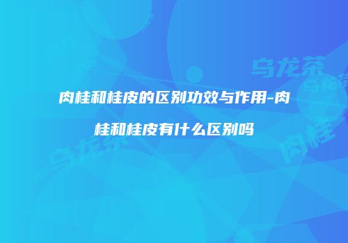 肉桂和桂皮的区别功效与作用-肉桂和桂皮有什么区别吗