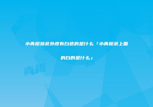 小青柑熟茶外皮有白色的是什么「小青柑茶上面的白的是什么」