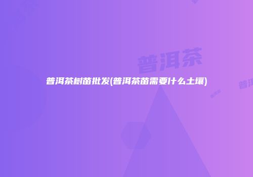 普洱茶树苗批发(普洱茶苗需要什么土壤)