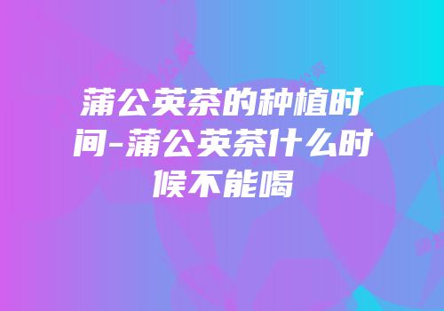 蒲公英茶的种植时间-蒲公英茶什么时候不能喝