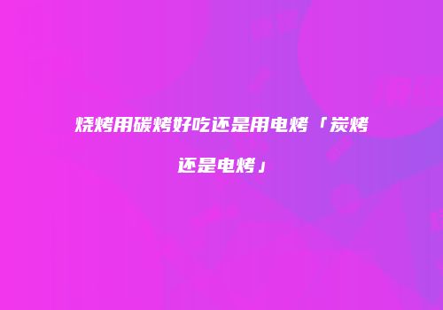 烧烤用碳烤好吃还是用电烤「炭烤还是电烤」