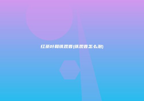 红茶叶和铁观音(铁观音怎么泡)