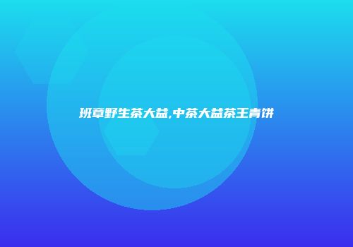 班章野生茶大益,中茶大益茶王青饼