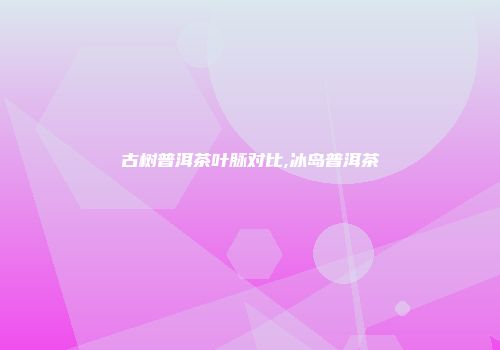 古树普洱茶叶脉对比,冰岛普洱茶
