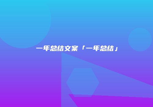 一年总结文案「一年总结」