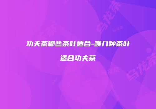 功夫茶哪些茶叶适合-哪几种茶叶适合功夫茶