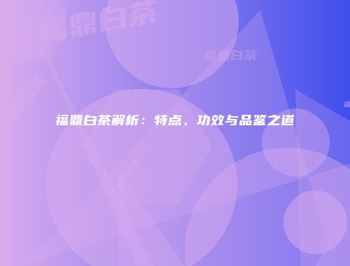 福鼎白茶解析：特点、功效与品鉴之道