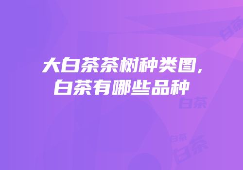 大白茶茶树种类图,白茶有哪些品种