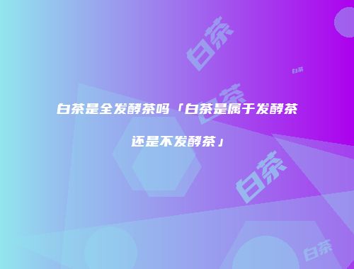白茶是全发酵茶吗「白茶是属于发酵茶还是不发酵茶」