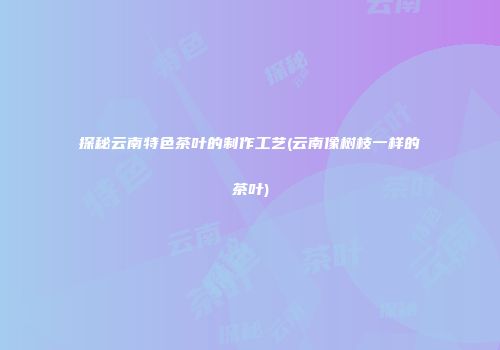 探秘云南特色茶叶的制作工艺(云南像树枝一样的茶叶)
