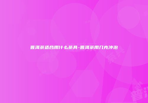 普洱茶适合用什么茶具-普洱茶用几克冲泡