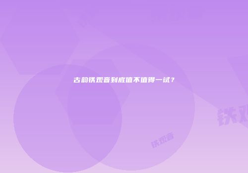 古韵铁观音到底值不值得一试？