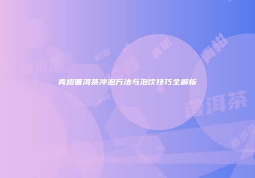 青柑普洱茶冲泡方法与泡饮技巧全解析