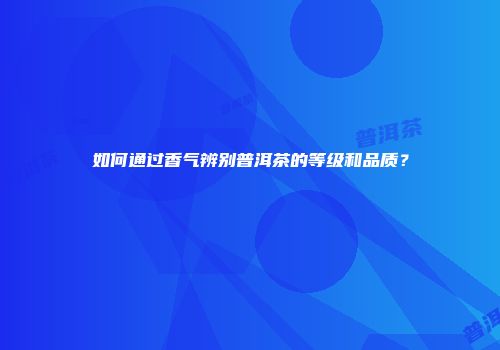 如何通过香气辨别普洱茶的等级和品质？
