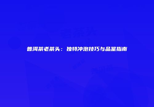 普洱茶老茶头：独特冲泡技巧与品鉴指南