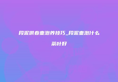 段泥供春壶泡养技巧_段泥壶泡什么茶叶好