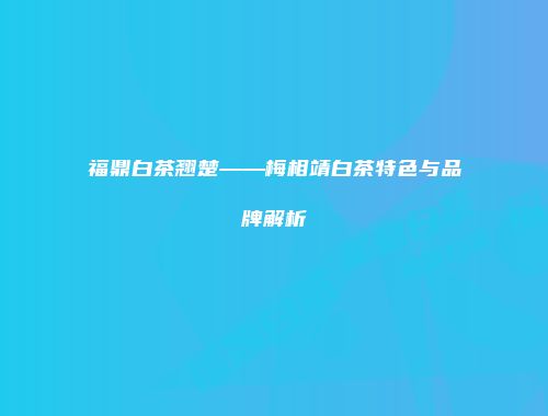福鼎白茶翘楚——梅相靖白茶特色与品牌解析