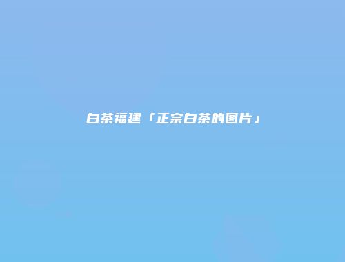 白茶福建「正宗白茶的图片」