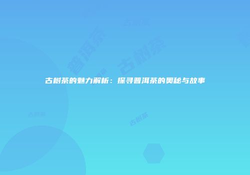 古树茶的魅力解析：探寻普洱茶的奥秘与故事