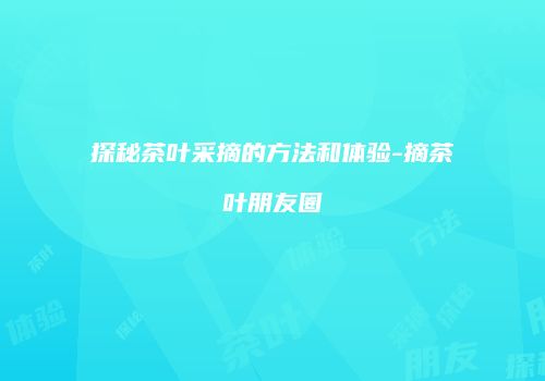 探秘茶叶采摘的方法和体验-摘茶叶朋友圈
