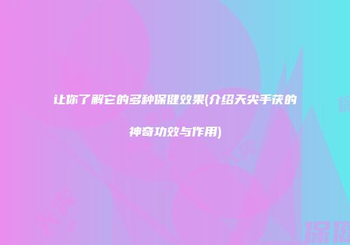 让你了解它的多种保健效果(介绍天尖手茯的神奇功效与作用)