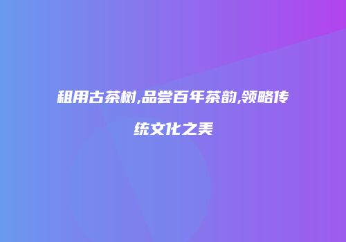 租用古茶树,品尝百年茶韵,领略传统文化之美