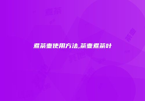 煮茶壶使用方法,茶壶煮茶叶