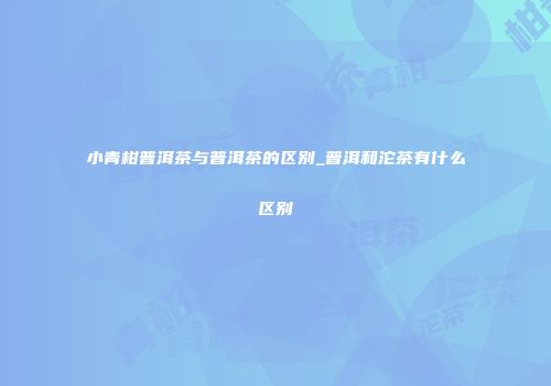小青柑普洱茶与普洱茶的区别_普洱和沱茶有什么区别