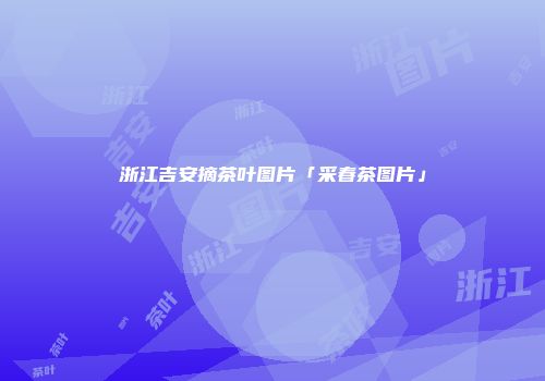 浙江吉安摘茶叶图片「采春茶图片」