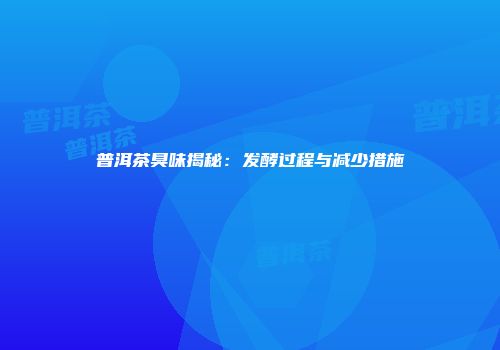 普洱茶臭味揭秘：发酵过程与减少措施