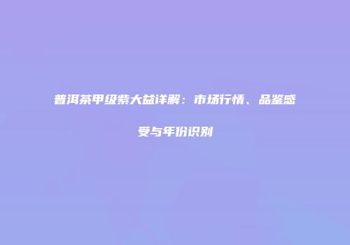 普洱茶甲级紫大益详解：市场行情、品鉴感受与年份识别