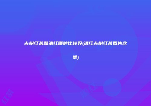 古树红茶和滇红哪种比较好(滇红古树红茶图片欣赏)