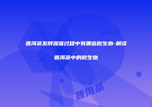 普洱茶发酵渥堆过程中有哪些微生物-解读普洱茶中的微生物