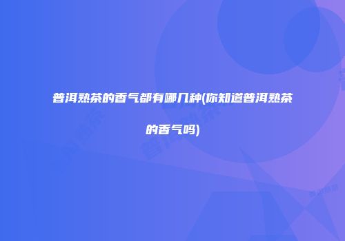 普洱熟茶的香气都有哪几种(你知道普洱熟茶的香气吗)
