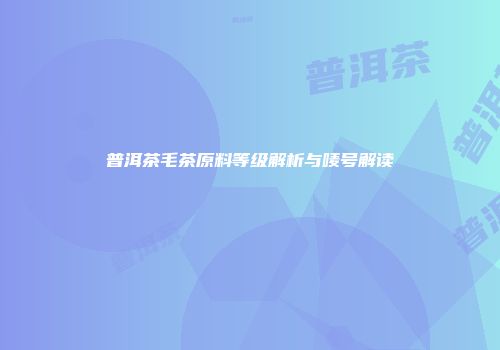 普洱茶毛茶原料等级解析与唛号解读