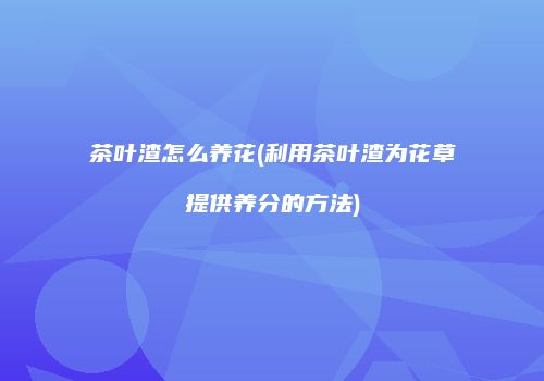 茶叶渣怎么养花(利用茶叶渣为花草提供养分的方法)